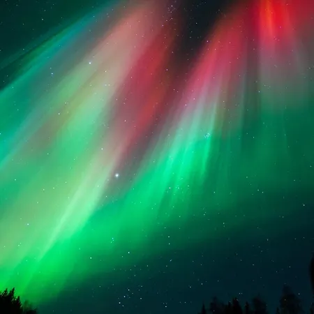 公寓 With Chance To Aurora At Center *