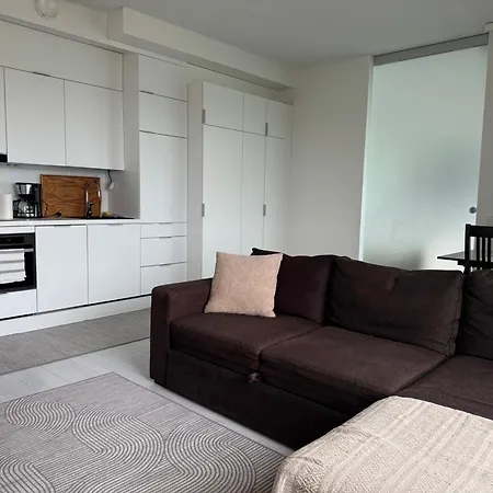 Apartment With Chance To Aurora At Center Rovaniemi